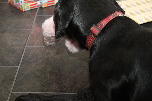 New Camera Dec2010 040